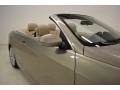 2008 Platinum Bronze Metallic BMW 3 Series 328i Convertible  photo #4