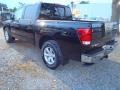 Galaxy Black - Titan SV Crew Cab Photo No. 3
