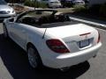 Arctic White - SLK 300 Roadster Photo No. 24