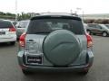 Everglade Metallic - RAV4 4WD Photo No. 5