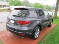 Carbon Gray Pearl - RDX  Photo No. 5