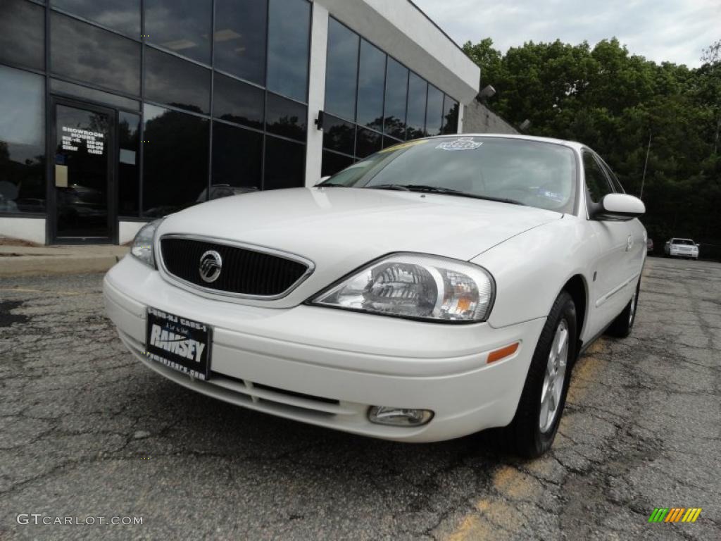 Vibrant White Mercury Sable