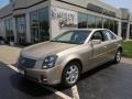 Sand Storm - CTS Sedan Photo No. 1