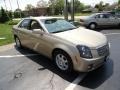 Sand Storm - CTS Sedan Photo No. 3