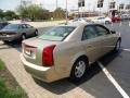Sand Storm - CTS Sedan Photo No. 4