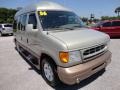 Gold Ash Metallic - E Series Van E150 Passenger Conversion Photo No. 11