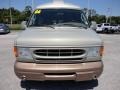 Gold Ash Metallic - E Series Van E150 Passenger Conversion Photo No. 20
