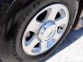 Gold Ash Metallic - E Series Van E150 Passenger Conversion Photo No. 22