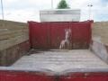 Vermillion Red - F450 Super Duty Regular Cab Dump Truck Photo No. 12