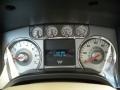 Chaparral Leather/Camel Gauges Photo for 2009 Ford F150 #49711846