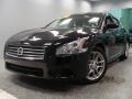 Crimson Black - Maxima 3.5 SV Photo No. 1