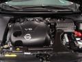 Crimson Black - Maxima 3.5 SV Photo No. 24