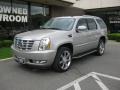 Quicksilver - Escalade AWD Photo No. 1