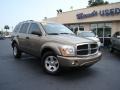 2005 Light Khaki Metallic Dodge Durango SLT  photo #35