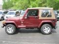 2001 Sienna Pearl Jeep Wrangler Sahara 4x4  photo #12