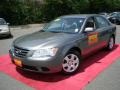 Willow Gray - Sonata GLS Photo No. 1