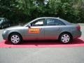 Willow Gray - Sonata GLS Photo No. 9