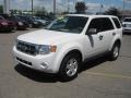 2009 White Suede Ford Escape XLT V6  photo #10