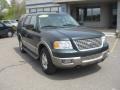 2003 Aspen Green Metallic Ford Expedition Eddie Bauer 4x4  photo #1