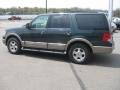 2003 Aspen Green Metallic Ford Expedition Eddie Bauer 4x4  photo #6
