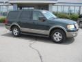 2003 Aspen Green Metallic Ford Expedition Eddie Bauer 4x4  photo #7