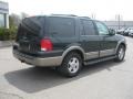 2003 Aspen Green Metallic Ford Expedition Eddie Bauer 4x4  photo #8