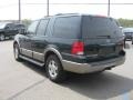2003 Aspen Green Metallic Ford Expedition Eddie Bauer 4x4  photo #10