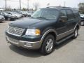 2003 Aspen Green Metallic Ford Expedition Eddie Bauer 4x4  photo #11