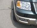 2003 Aspen Green Metallic Ford Expedition Eddie Bauer 4x4  photo #14