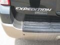 2003 Aspen Green Metallic Ford Expedition Eddie Bauer 4x4  photo #22
