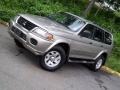 Munich Silver Metallic - Montero Sport XLS 4x4 Photo No. 26