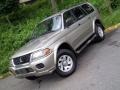 Munich Silver Metallic - Montero Sport XLS 4x4 Photo No. 27