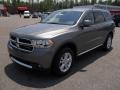 Mineral Gray Metallic - Durango Crew 4x4 Photo No. 1