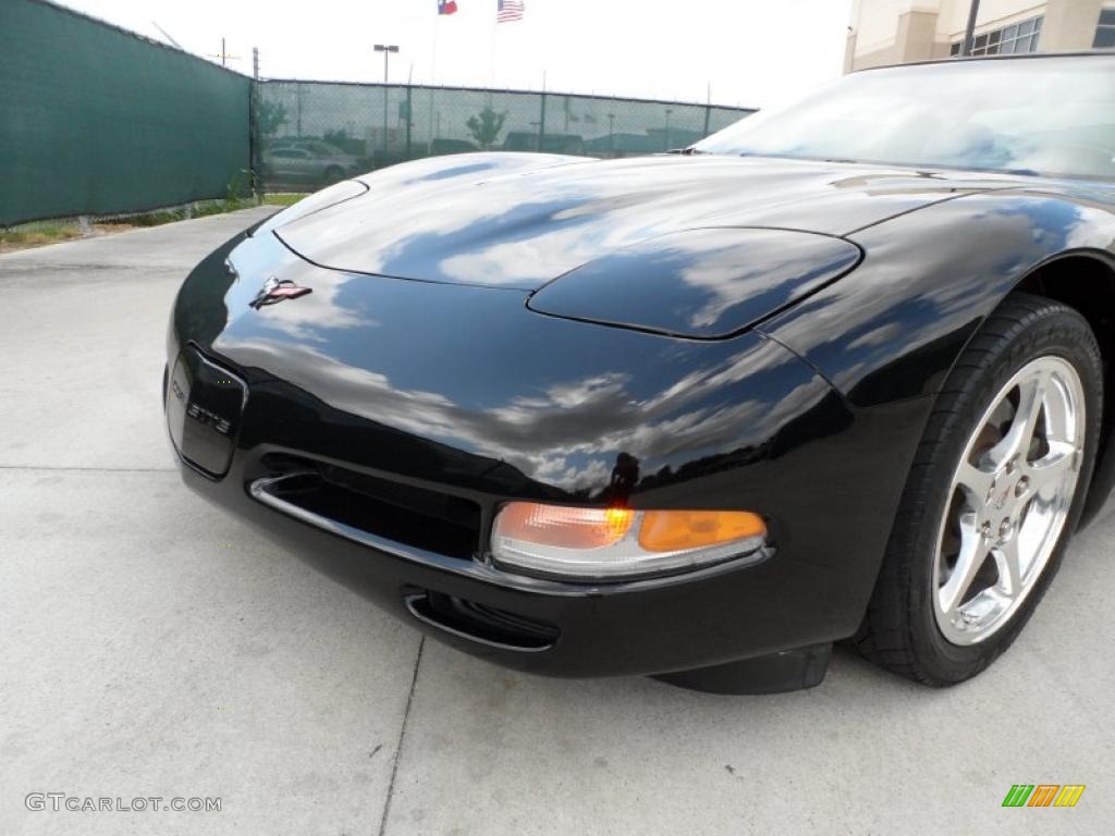 2004 Corvette Coupe - Black / Light Oak photo #11