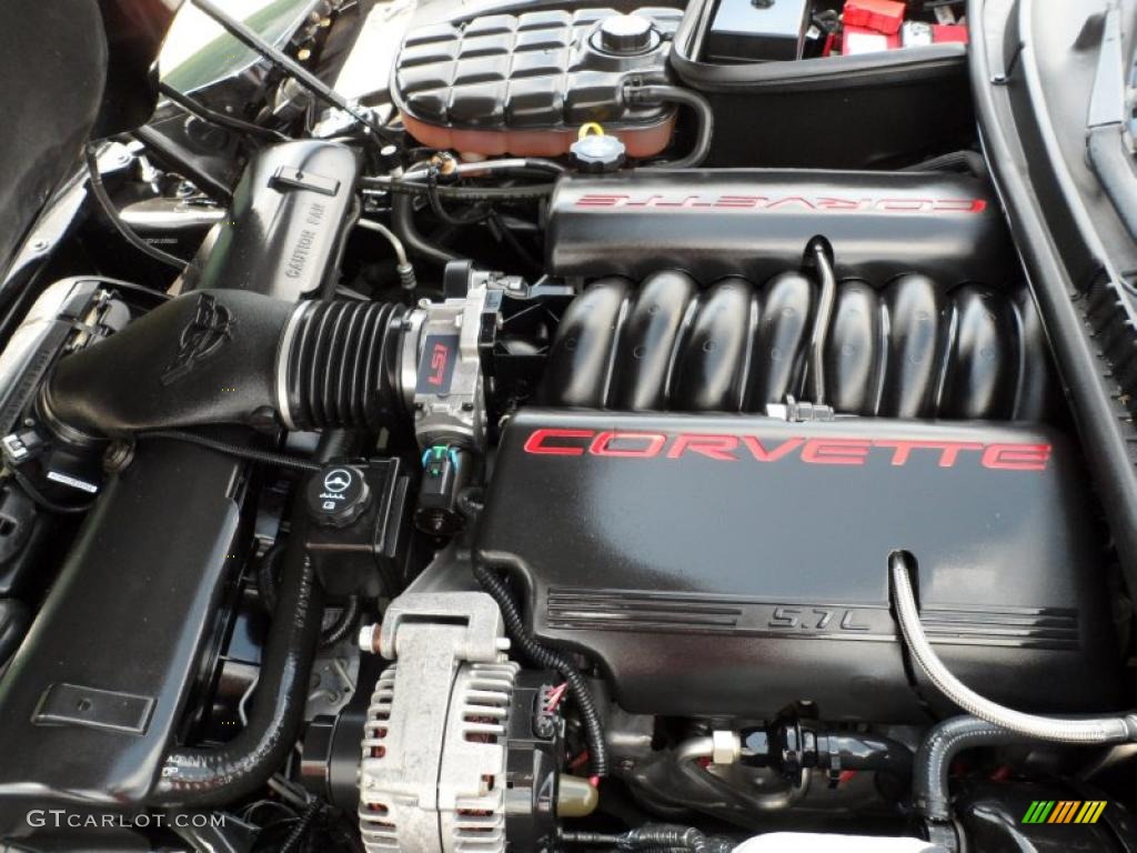 2004 Chevrolet Corvette Coupe 5.7 Liter OHV 16-Valve LS1 V8 Engine Photo #49745473
