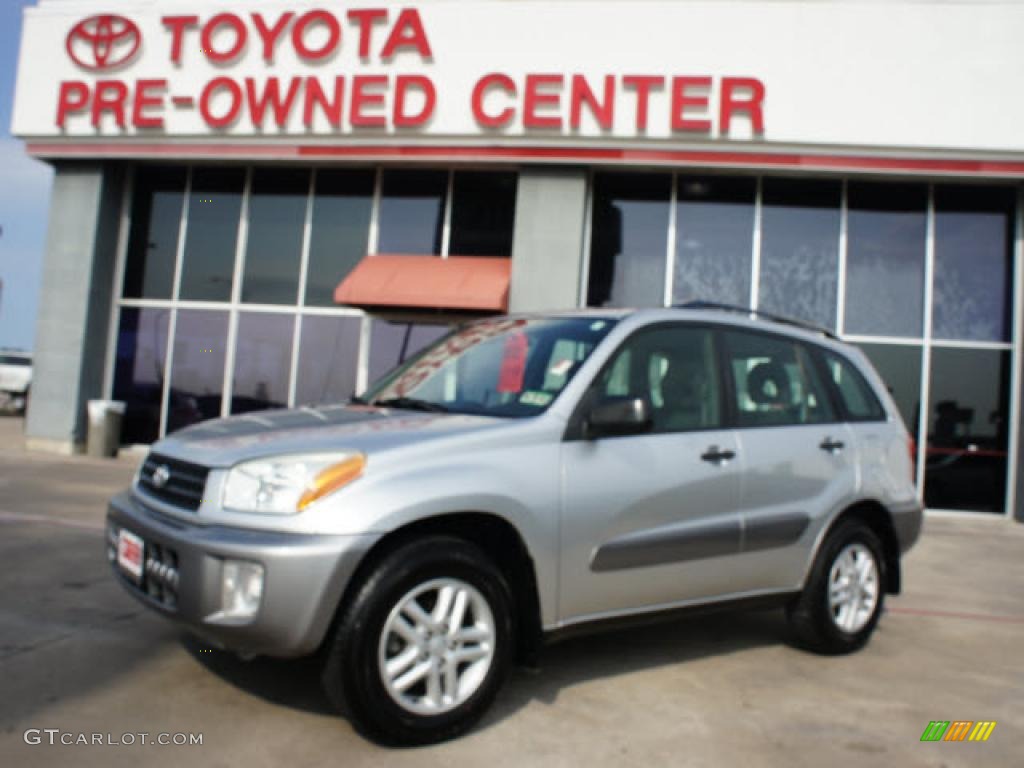 2002 RAV4  - Titanium Metallic / Gray photo #1