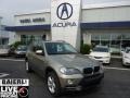 Platinum Bronze Metallic - X5 3.0si Photo No. 1