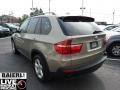 Platinum Bronze Metallic - X5 3.0si Photo No. 5
