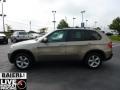 Platinum Bronze Metallic - X5 3.0si Photo No. 6
