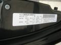Blackberry Metallic - Grand Caravan SXT Photo No. 24