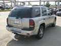 2007 Silverstone Metallic Chevrolet TrailBlazer LT  photo #5