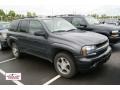 Graphite Metallic - TrailBlazer LS 4x4 Photo No. 1