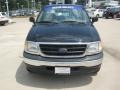 2002 Black Ford F150 XL Regular Cab  photo #8