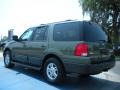 2004 Estate Green Metallic Ford Expedition XLT 4x4  photo #3