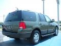 2004 Estate Green Metallic Ford Expedition XLT 4x4  photo #5