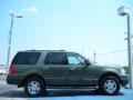 2004 Estate Green Metallic Ford Expedition XLT 4x4  photo #6