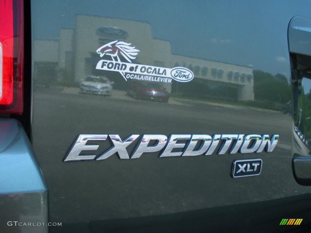2004 Expedition XLT 4x4 - Estate Green Metallic / Medium Parchment photo #9