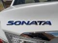 2011 Sonata Hybrid Logo