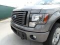 Sterling Grey Metallic 2011 Ford F150 FX4 SuperCrew 4x4 Exterior