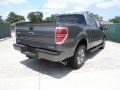 2011 Sterling Grey Metallic Ford F150 XLT SuperCrew  photo #3